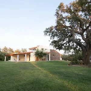 Affittacamere Su Suberju, San Teodoro (Sardinia)
